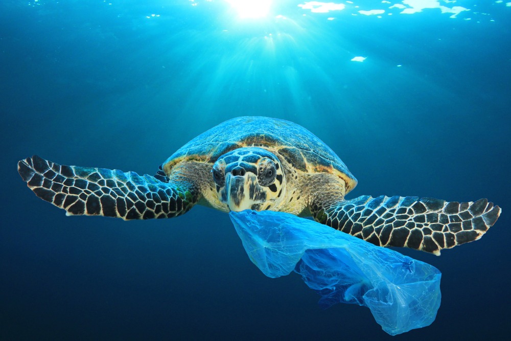 海龜吃塑膠袋