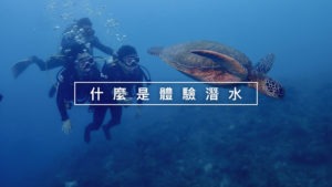 小琉球體驗潛水