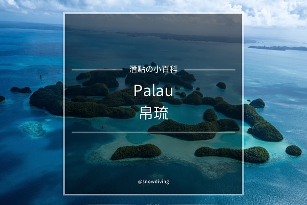 帛琉潛水旅遊