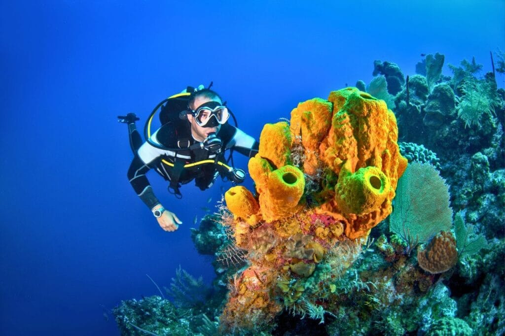 潛水畫面