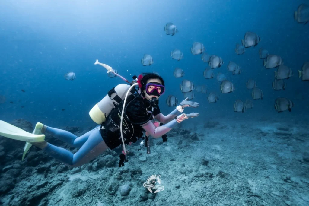 潛水員在石垣島海底與燕魚群同游